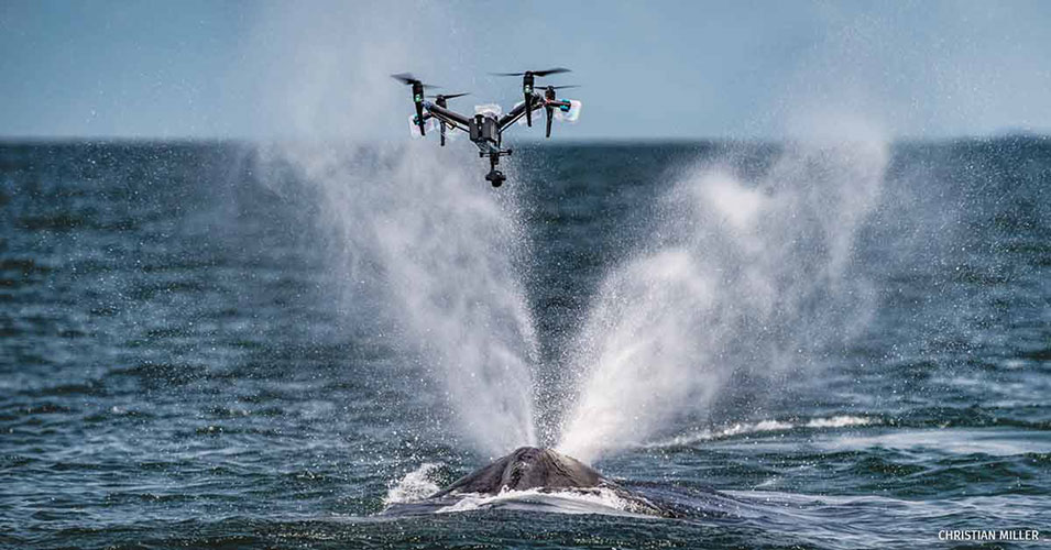 Drone Rental